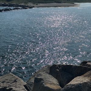 Meet your Posher, Steven